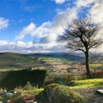 East-west facing solar panels with optimizers and battery storage installed on a rural Wales bungalow roof.