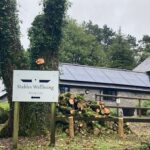 Solar panels installed on the roof of a rural wellness retreat in Trapp, Llandeilo