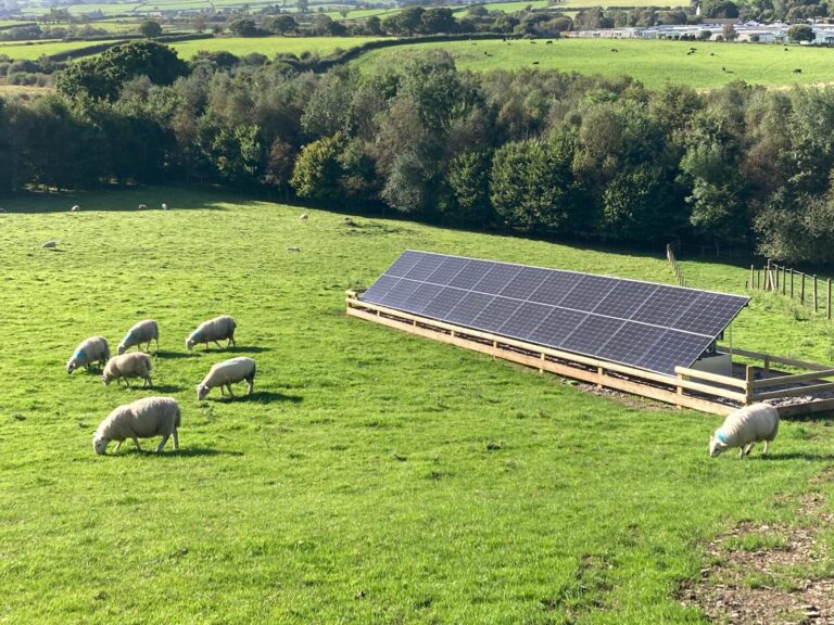 ground mounted solar panels _farm_Wales