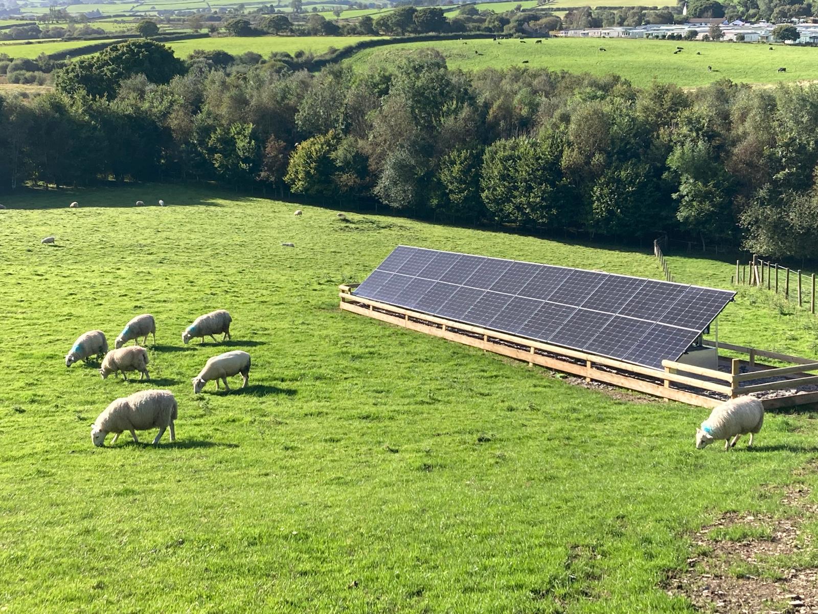ground mounted solar panels _farm_Wales